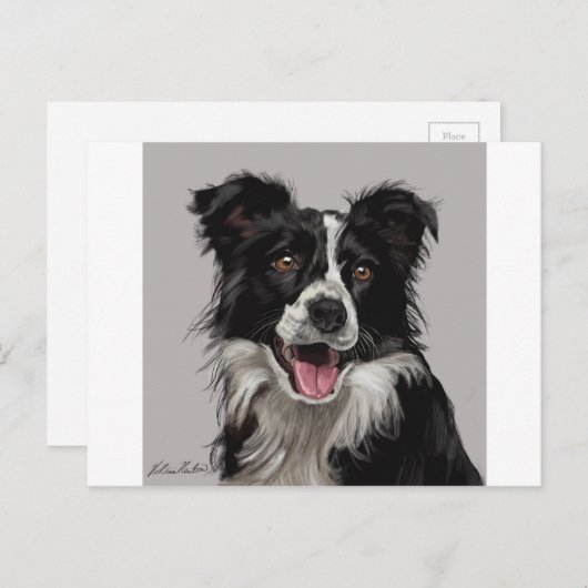 Border Collie Briefkaart (Voorkant / Achterkant)