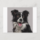 Border Collie Briefkaart (Voorkant)