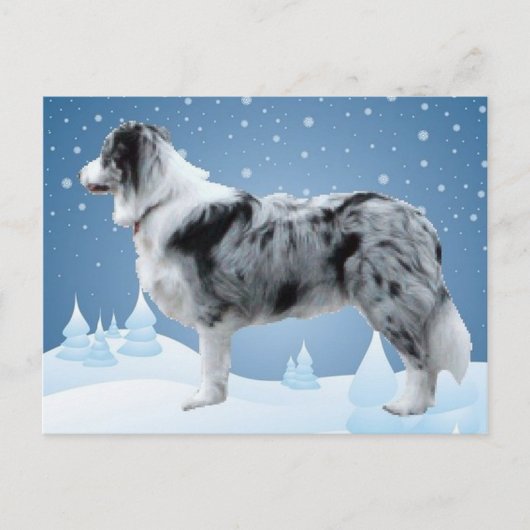 Border Collie briefkaart~Kerst Feestdagenkaart (Voorkant)