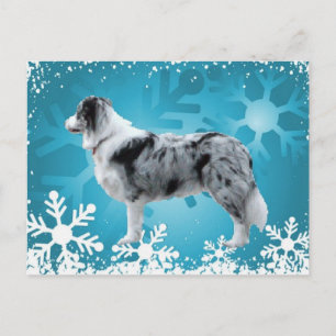 Border Collie Briefkaart~Kerst Feestdagenkaart
