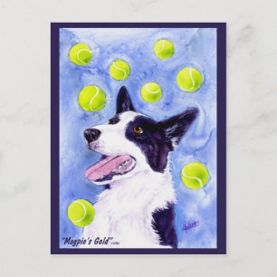 Border Collie Briefkaart - "Magpie's Gold"