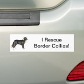 Border Collie Bumpersticker (Op auto)