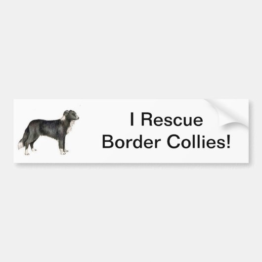 Border Collie Bumpersticker (Voorkant)