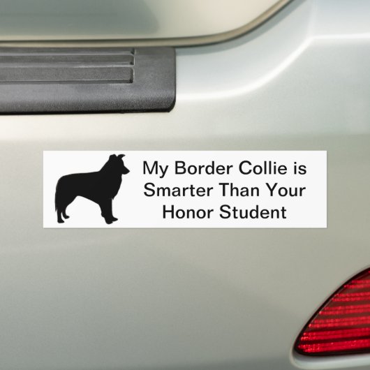 Border Collie Bumpersticker (Op auto)