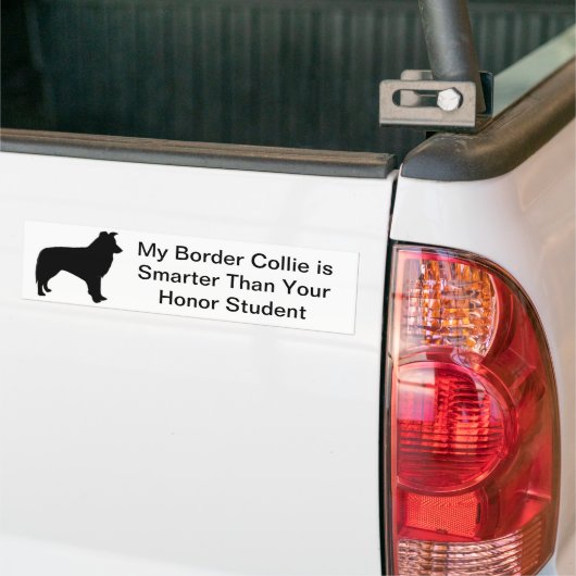 Border Collie Bumpersticker (Op Truck)