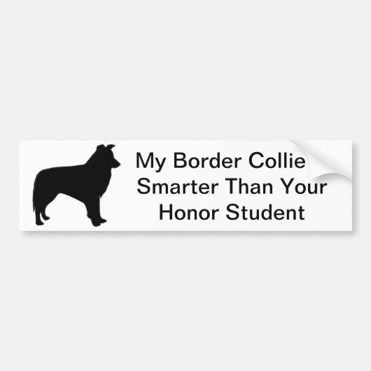 Border Collie Bumpersticker (Voorkant)