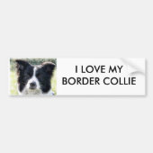 Border Collie Bumpersticker (Voorkant)
