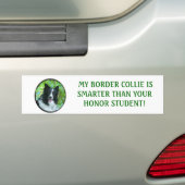 Border Collie Bumpersticker (Op auto)