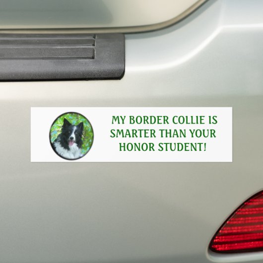 Border Collie Bumpersticker (Op auto)