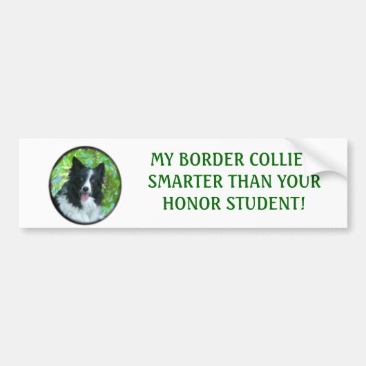 Border Collie Bumpersticker (Voorkant)