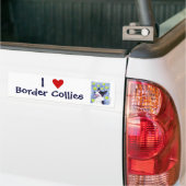 Border Collie Bumpersticker (Op Truck)