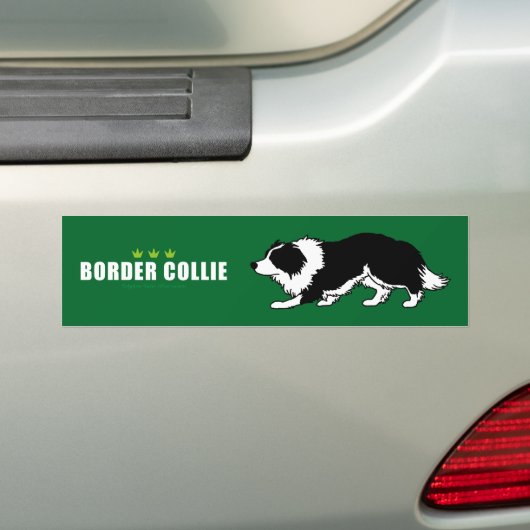 Border Collie Bumpersticker (Op auto)