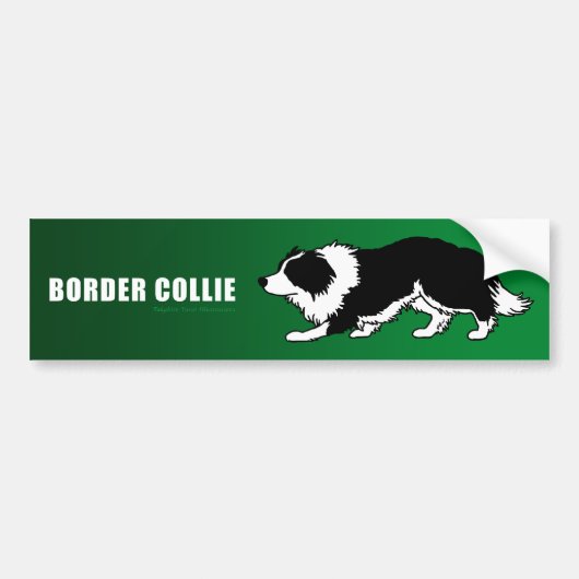 Border Collie Bumpersticker (Voorkant)