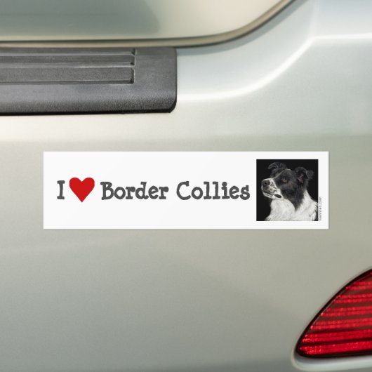 Border Collie Bumpersticker - "Ben" (Op auto)