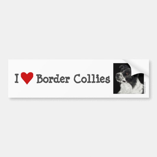 Border Collie Bumpersticker - "Ben" (Voorkant)