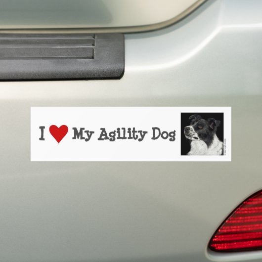 Border Collie Bumpersticker - "Ben" 2 (Op auto)