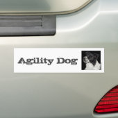 Border Collie Bumpersticker - "Ben" 3 (Op auto)