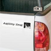Border Collie Bumpersticker - "Ben" 3 (Op Truck)