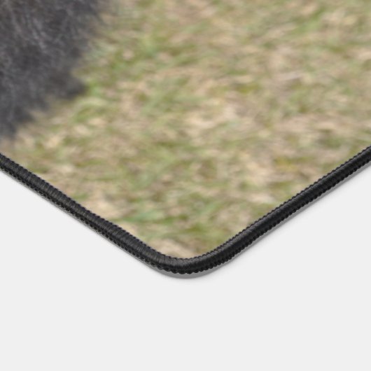 Border Collie Bureaumat (Hoek)