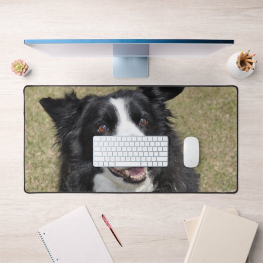 Border Collie Bureaumat (Kantoor 1)