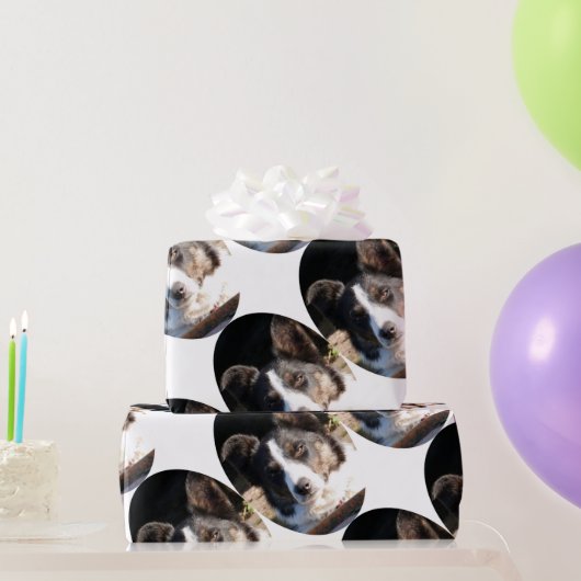 BORDER COLLIE CADEAUPAPIER (Feestgeschenken)