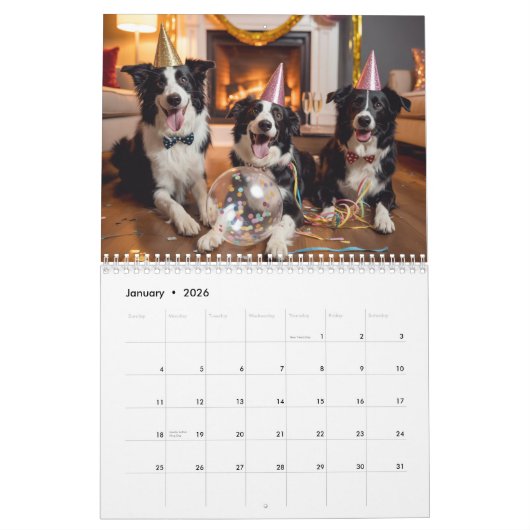 Border Collie Calendar Kalender (Jan 2026)