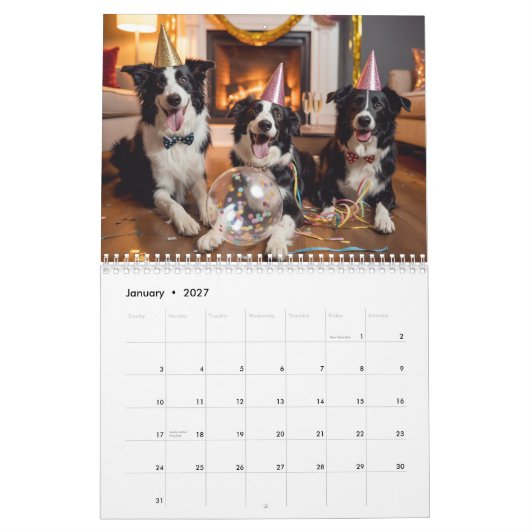 Border Collie Calendar Kalender (Jan 2027)