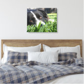Border Collie Canvas Afdruk (Insitu (Slaapkamer))