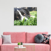 Border Collie Canvas Afdruk (Insitu (Woonkamer))