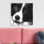 Border Collie Canvas Afdruk (Insitu (Woonkamer))