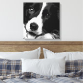 Border Collie Canvas Afdruk (Insitu (Slaapkamer))