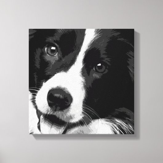 Border Collie Canvas Afdruk (Voorkant)
