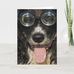 Border Collie Card Feestdagen Kaart