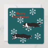 Border collie Christmas card カード Kaart (Voorkant)