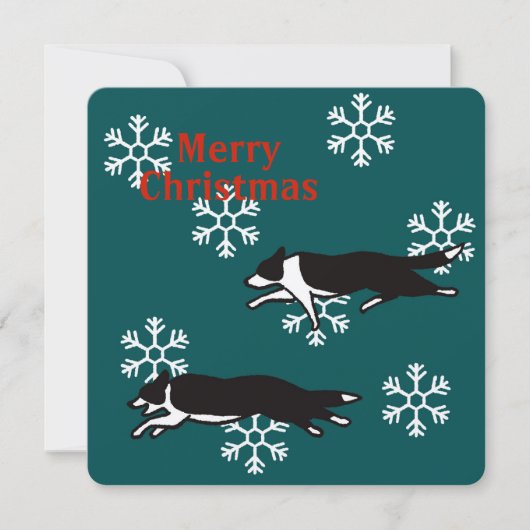 Border collie Christmas card カード Kaart (Voorkant)