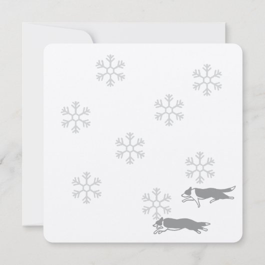 Border collie Christmas card カード Kaart (Achterkant)