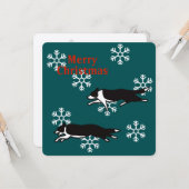 Border collie Christmas card カード Kaart (Voorkant / Achterkant in situ)