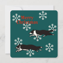 Border collie Christmas card カード