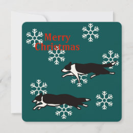 Border collie Christmas card カード Kaart