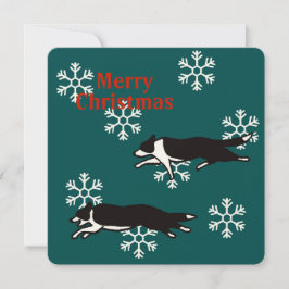Border collie Christmas card カード Kaart