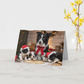 Border Collie Christmas Cookie Card Kaart (Gele Bloem)