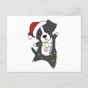 Border Collie Christmas Dog Winter Animals Dogs Briefkaart