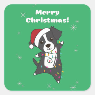 Border Collie Christmas Dog Winter Animals Dogs Sq Vierkante Sticker