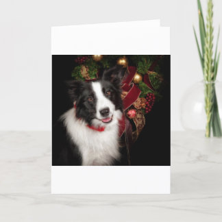 Border Collie Christmas Feestdagen Kaart