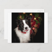 Border Collie Christmas Feestdagenkaart (Voorkant / Achterkant)