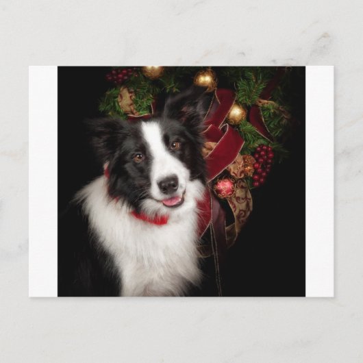 Border Collie Christmas Feestdagenkaart (Voorkant)
