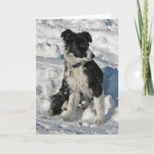 Border Collie Christmas Note Kaart (Voorkant)