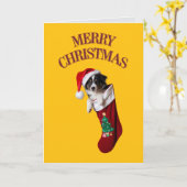 Border Collie Christmas Stocking Kaart (Gele Bloem)
