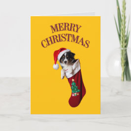 Border Collie Christmas Stocking Kaart
