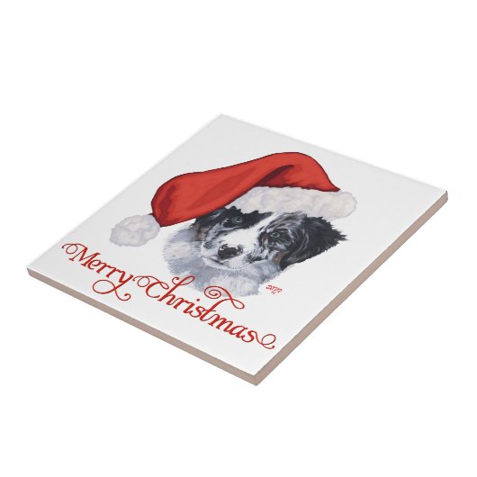 Border Collie Christmas Tegeltje (Zijkant)